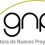 Gestora De Nuevos Proyectos