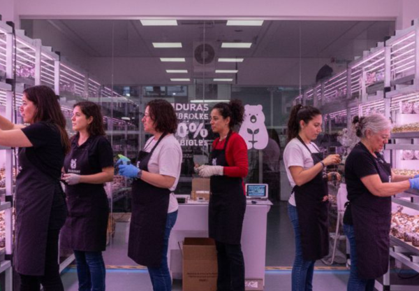 Mujeres que Cultivan Futuro's header image