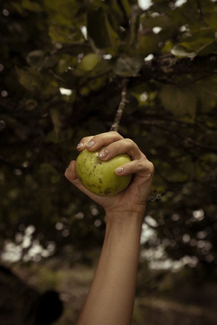 clmlclpyo-17.jpg