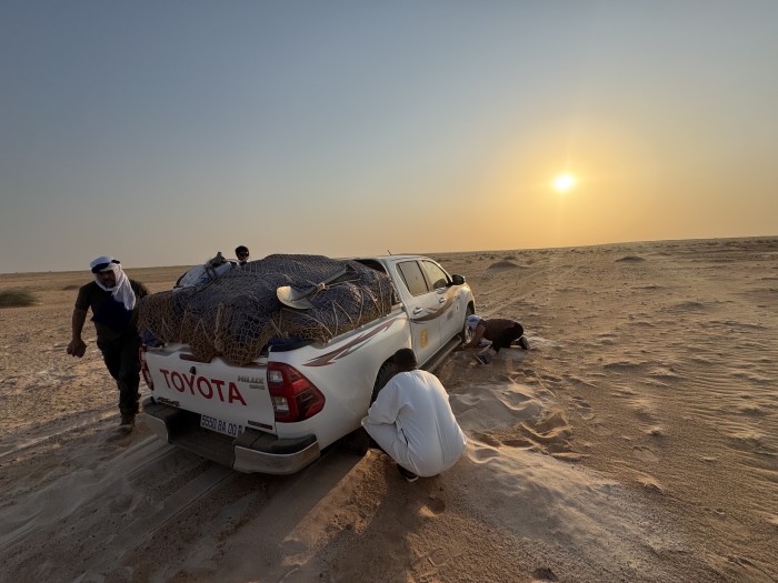 dunas.jpeg